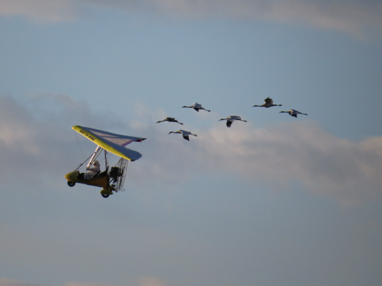 tumblr_inline_nuj3tr4MDm1tq37xk_540